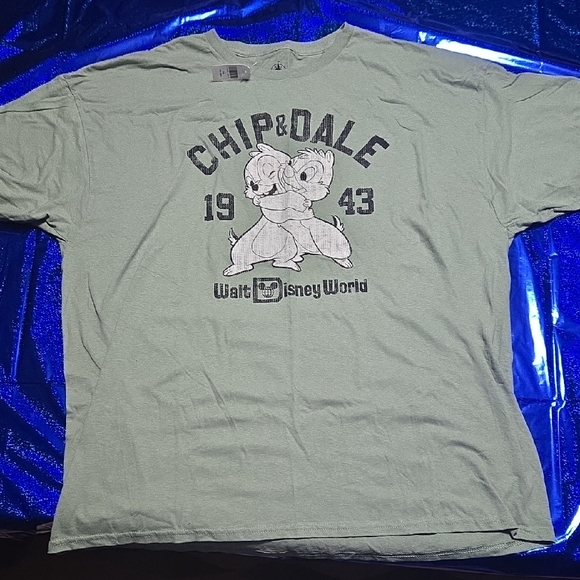 Disney Sage Green T-Shirt - Picture 1 of 4